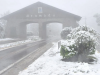 Imagem da notícia Onde ver neve no Brasil: 5 cidades com maior chance de nevasca no Inverno